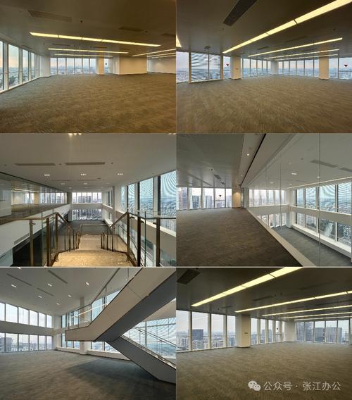 張江高科集鼎天地 上海集成電路設計產業(yè)園引領芯潮澎湃與軟件開發(fā)新未來